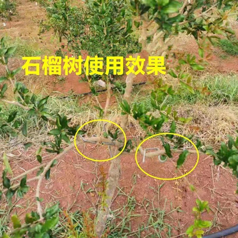 m型拉枝器果树拉枝神器w型别枝器拉枝器s压枝弯枝定型拉树