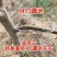 m型拉枝器果树拉枝神器w型别枝器拉枝器s压枝弯枝定型拉树
