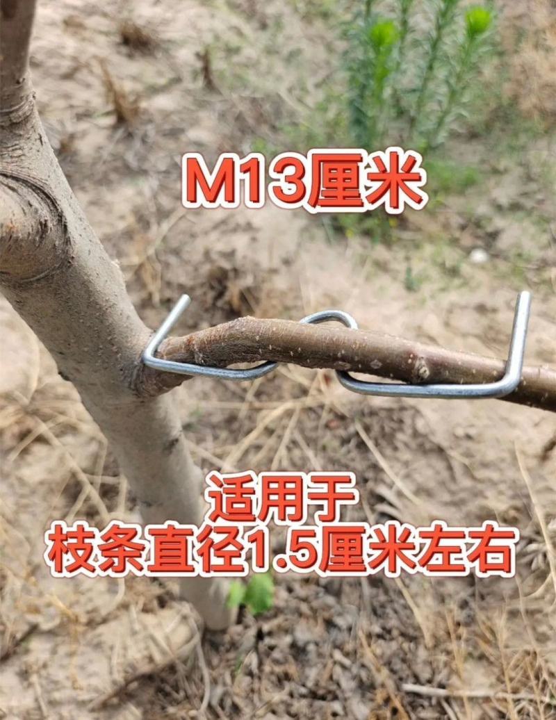 m型拉枝器果树拉枝神器w型别枝器拉枝器s压枝弯枝定型拉树