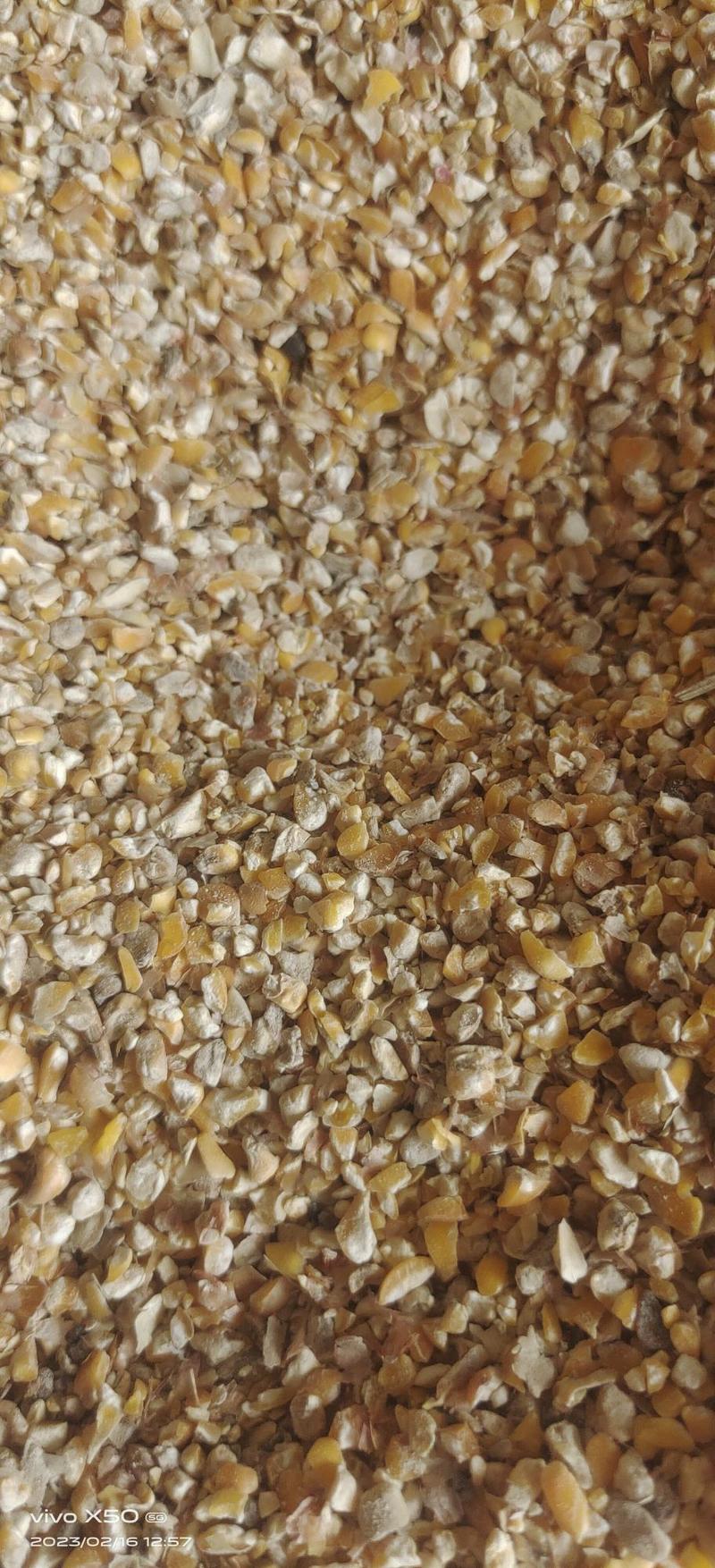 面粉厂碎小麦东北碎玉米尽粮碎玉米颗粒饲料