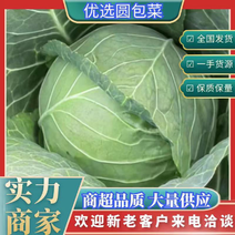 【推荐】万亩蔬菜基地春季甘蓝圆包菜大量上市全国发货