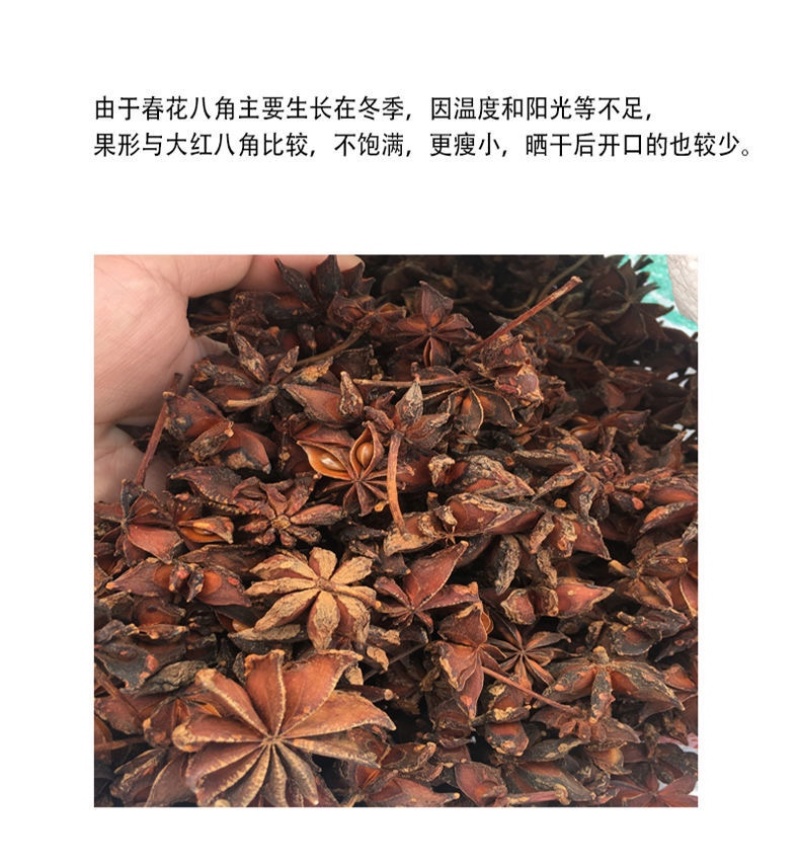 广西八角春花八角水烫无硫足干过筛产地农户直销