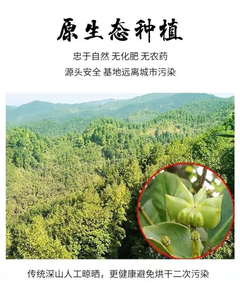 广西八角春花八角水烫无硫足干过筛产地农户直销