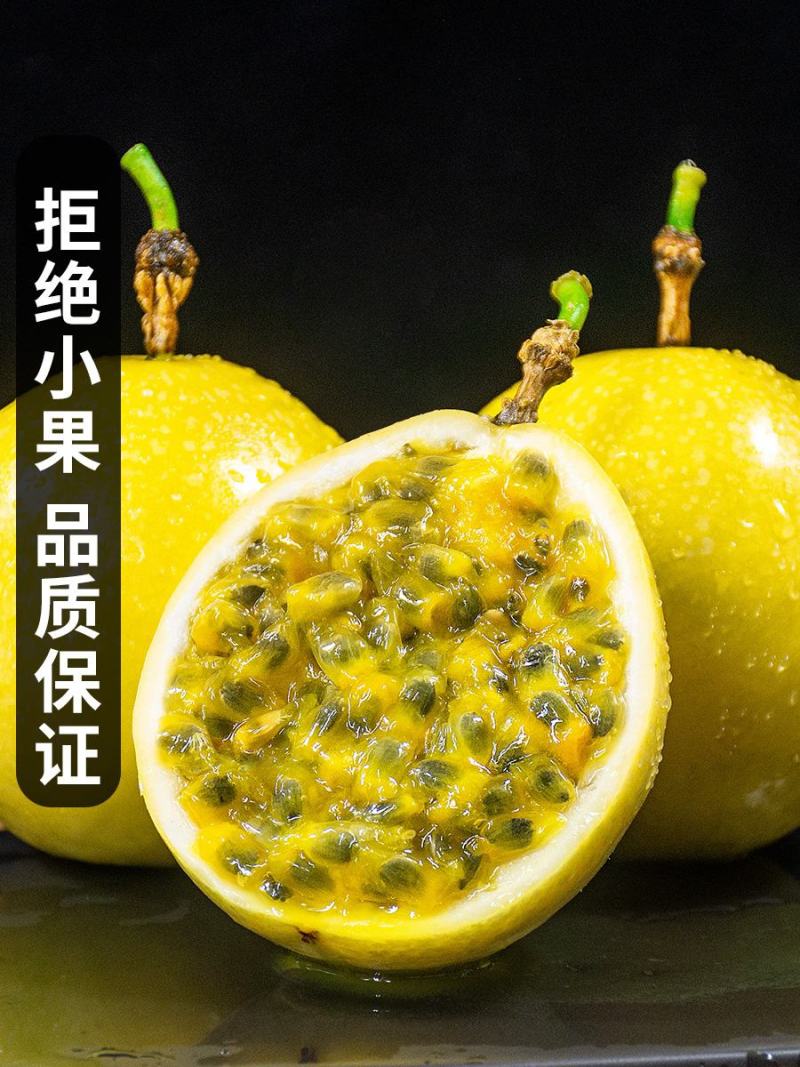 黄金百香果苗黄金百香果苗纯甜芭乐味百香果苗