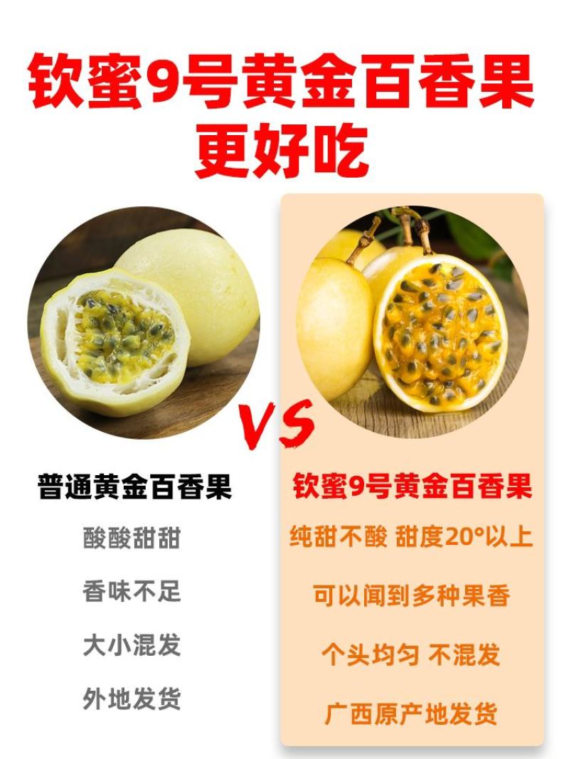 黄金百香果苗黄金百香果苗纯甜芭乐味百香果苗