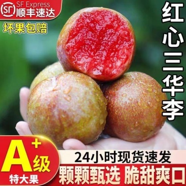 【顺丰包邮】银妃钱排红心三华李子现货当季酸甜脆李子水果