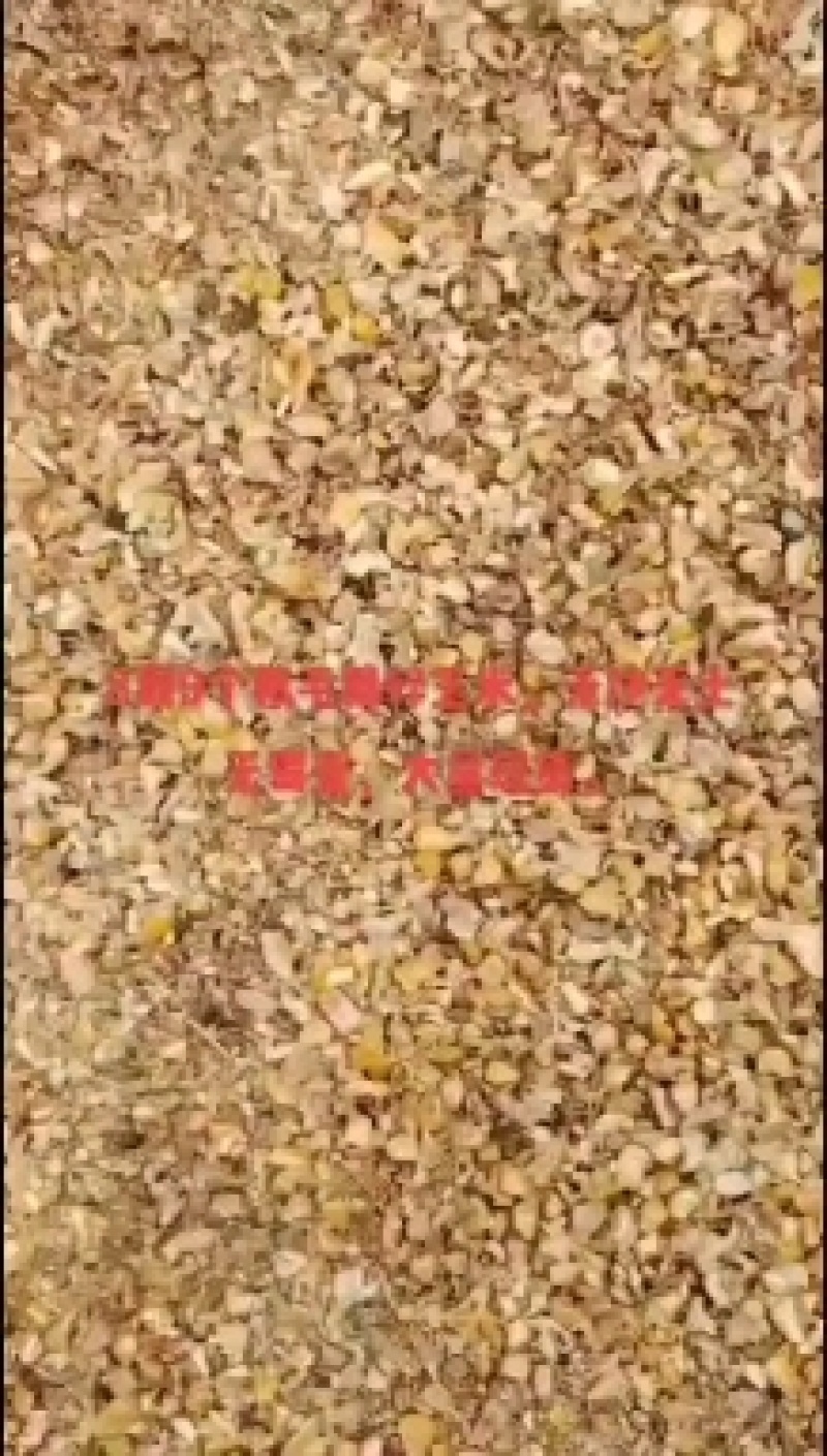 毛粮碎玉米价格便宜适合鸡鸭鹅猪牛羊养殖使用