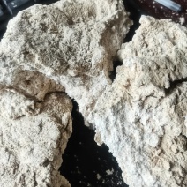 饲料原料土豆渣