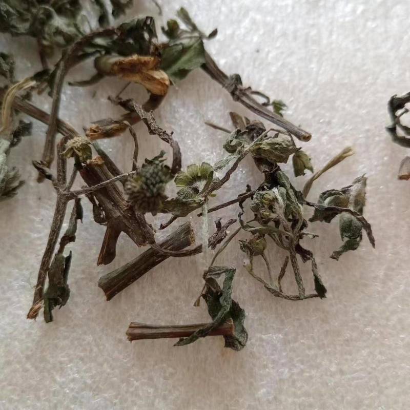 旱莲草，墨旱莲，中药材批发，现货供应，量大从优