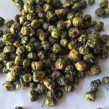 出售北京菊大花，北京菊胎米，婺源，金丝皇菊干货。