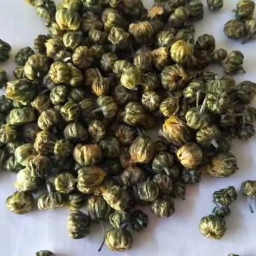 出售北京菊大花，北京菊胎米，婺源，金丝皇菊干货。