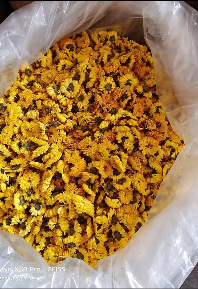 出售北京菊大花，北京菊胎米，婺源，金丝皇菊干货。
