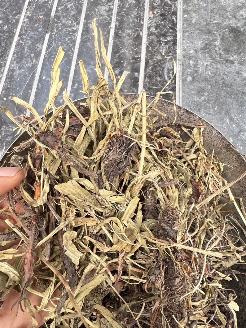 甘松，无杂质可加工打粉。