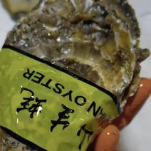 乳山牡蛎大生蚝，鲜活现货直发大量供应全年发货
