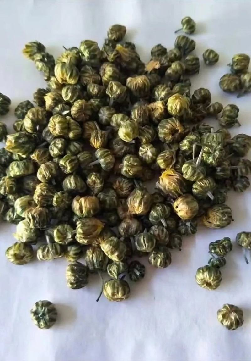 出售北京菊干货，北京菊胎米，婺源皇菊，金丝皇菊，各种品种