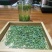 【推荐】湖北宣恩伍家台贡茶质量保证诚信欢迎来电咨询