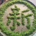 【推荐】湖北宣恩伍家台贡茶质量保证诚信欢迎来电咨询