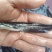 鲶鱼苗塘鲺二须胡土鲶鱼苗活体水花养殖淡水南方冷水鱼肉