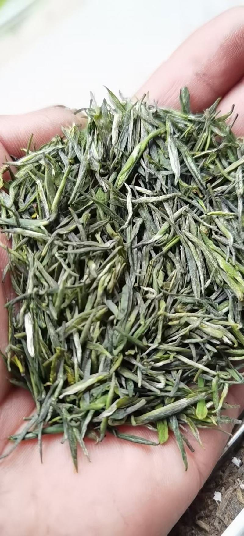 【推荐】湖北恩施伍家台贡茶毛尖茶诚信合作欢迎来电咨询
