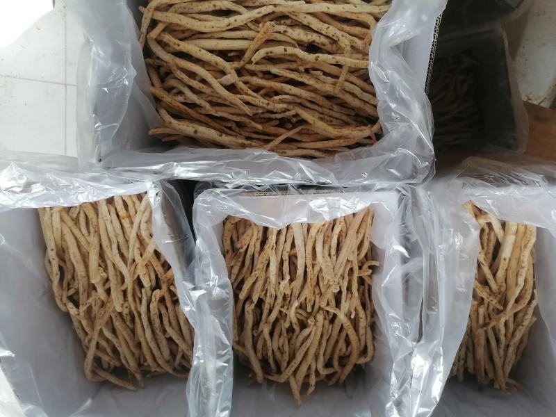 川明参无硫货