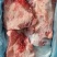 7001小排多肉小排一手货源证件齐全全国发货食材供应