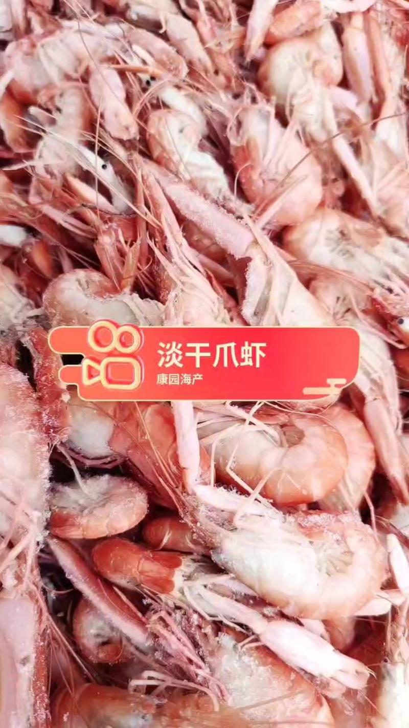 渤海湾特产，船上新到的爪虾，一点不咸，都是一手货源，