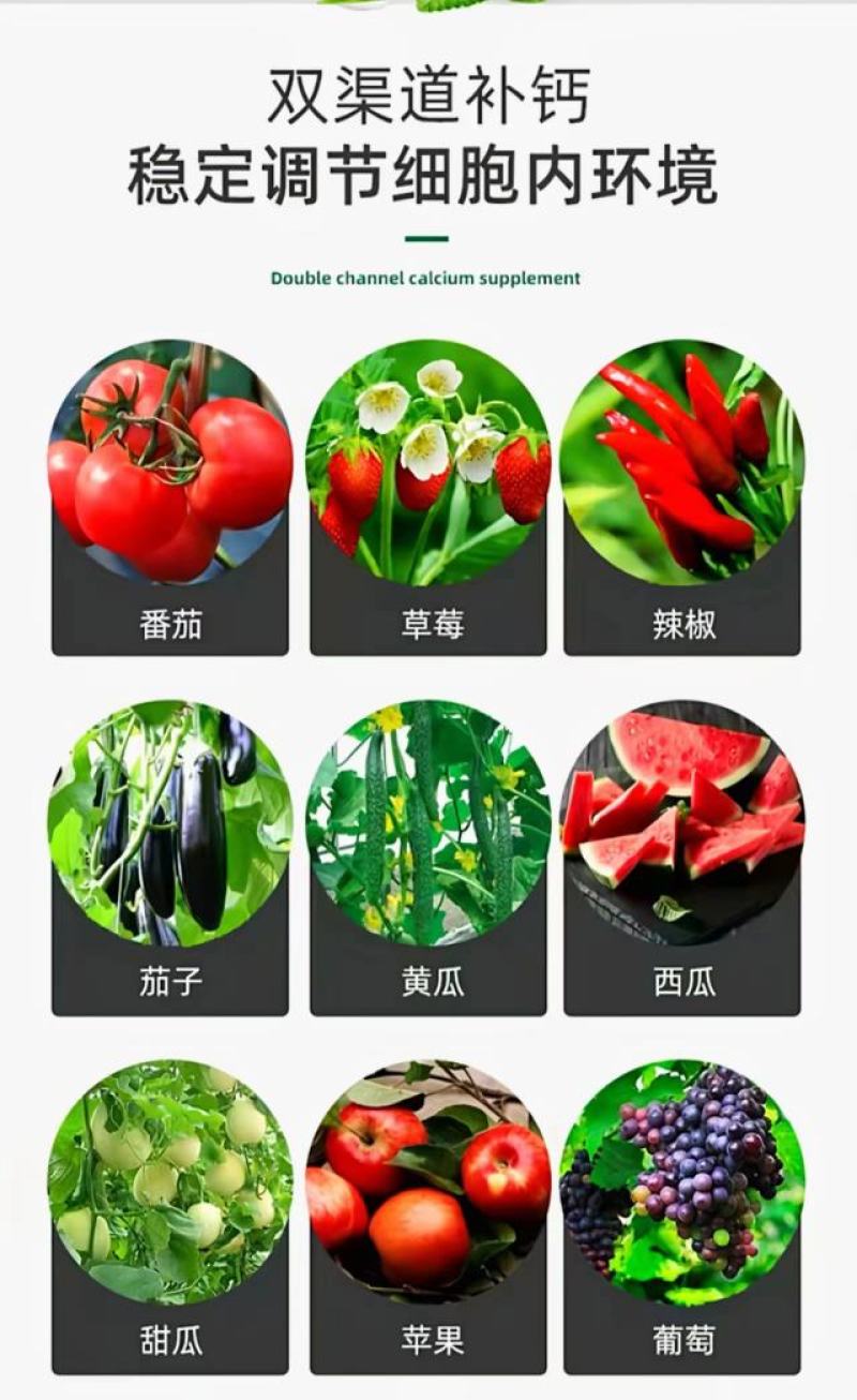 糖醇钙（4桶装）叶面肥农用钙肥双重补钙美果防裂果增重