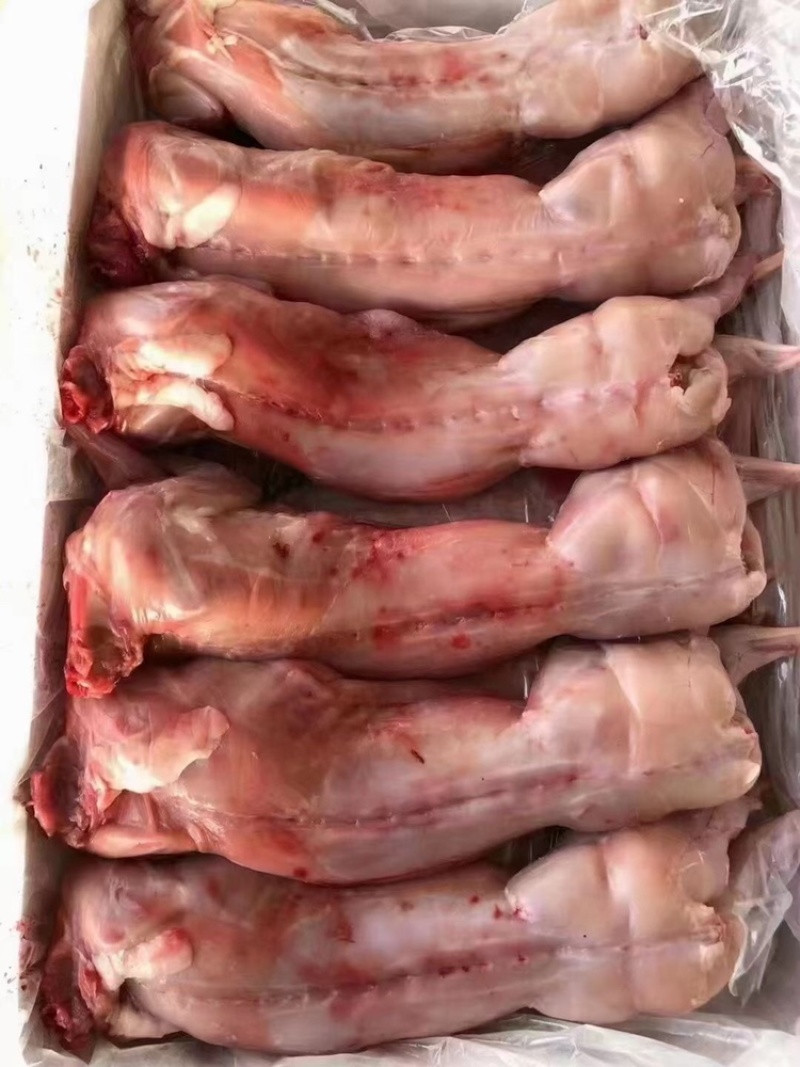 白条兔去头净膛一手货源证件齐全全国发货食材供应