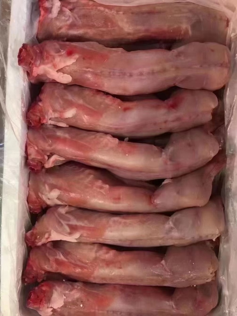 白条兔去头净膛一手货源证件齐全全国发货食材供应