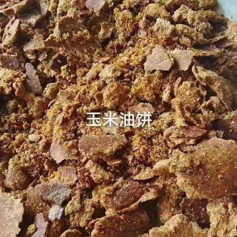 玉米胚芽饼蛋白1718脂肪8