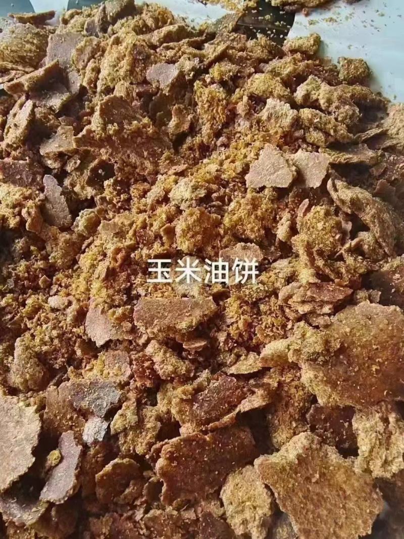 玉米胚芽饼蛋白1718脂肪8
