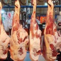 新疆散养牛羊肉，价格可谈，可长期供货，合作