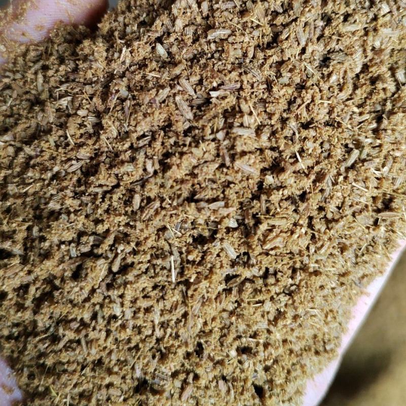 孜然粉山东孜然碎，味道超浓价格适中，烧烤必备