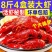 麻辣蒜香小龙虾熟食香辣十三香加热即食鲜活大虾烧制真空盒装