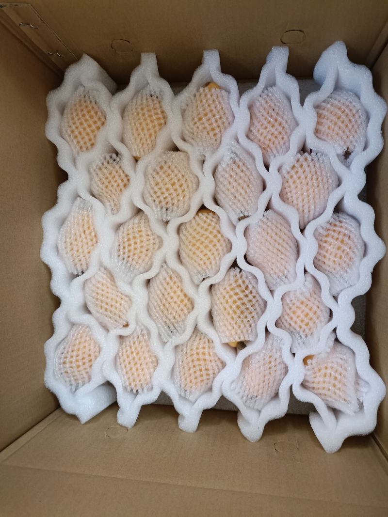 福建云霄树上熟枇杷，裂痕果，顺丰包邮，表皮裂痕不售后