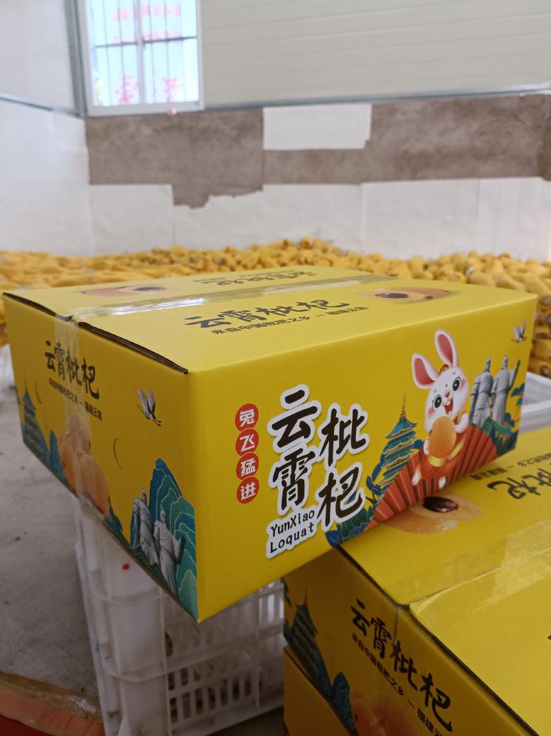 福建云霄树上熟枇杷，裂痕果，顺丰包邮，表皮裂痕不售后