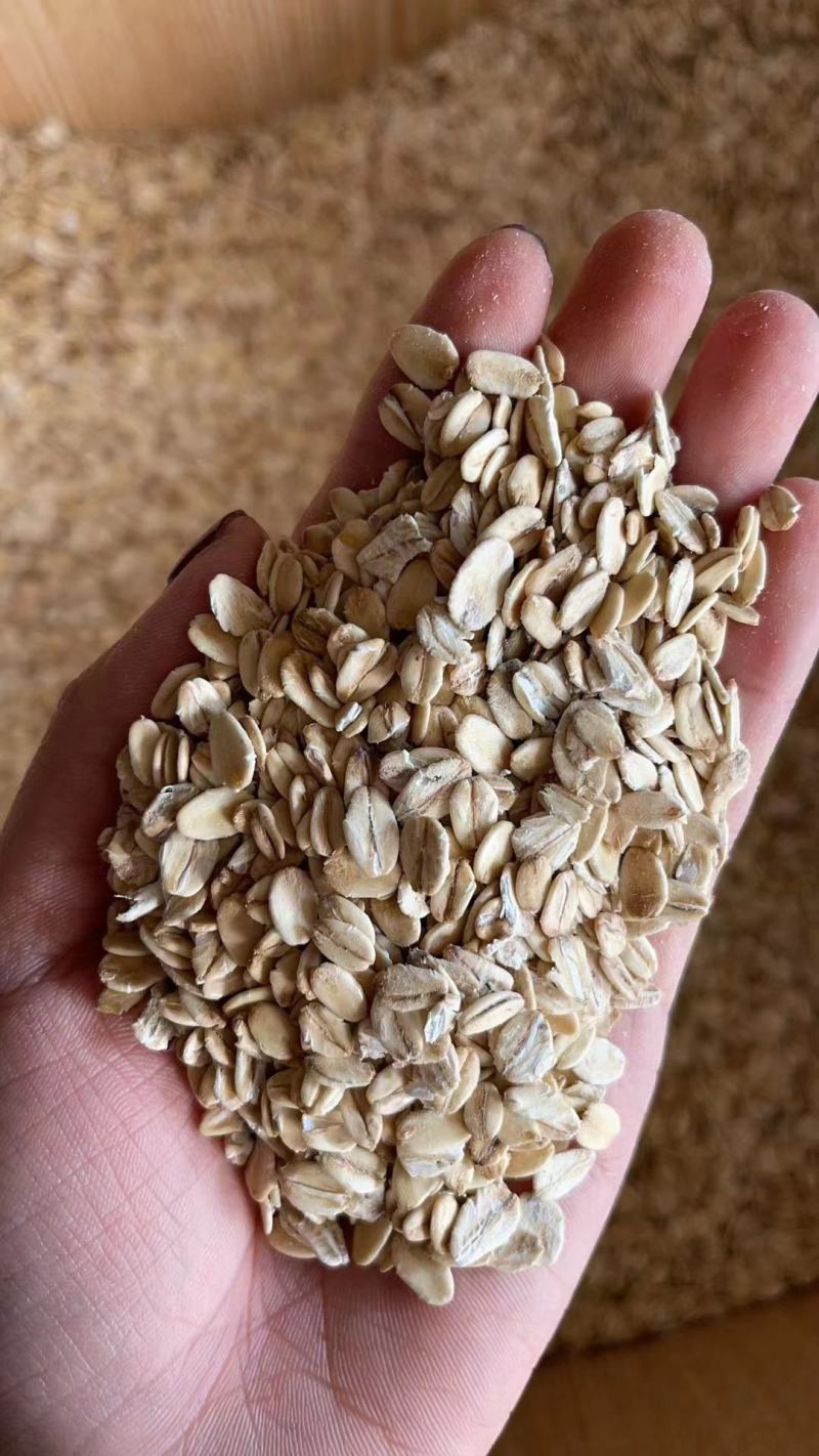 燕麦质量好价格美丽