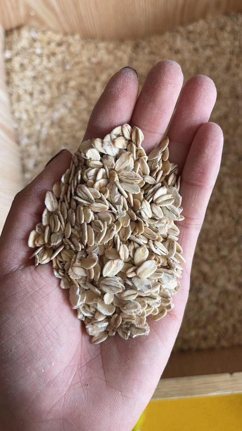 燕麦质量好价格美丽