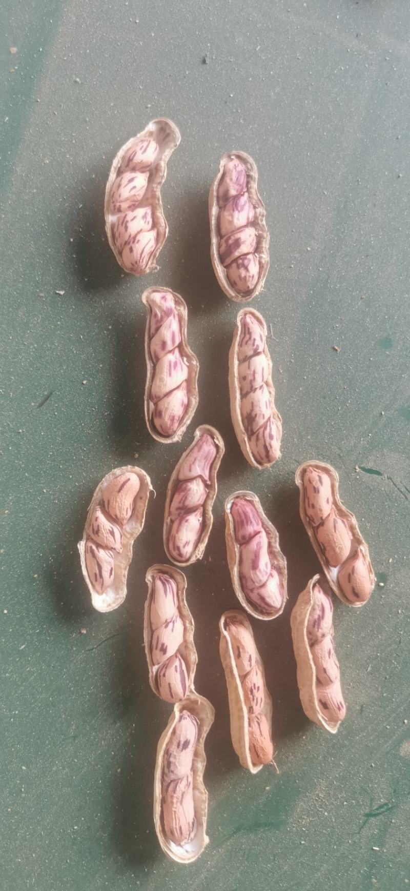 七彩花生七彩花生米云南七彩花生缅甸七彩花生产地直发