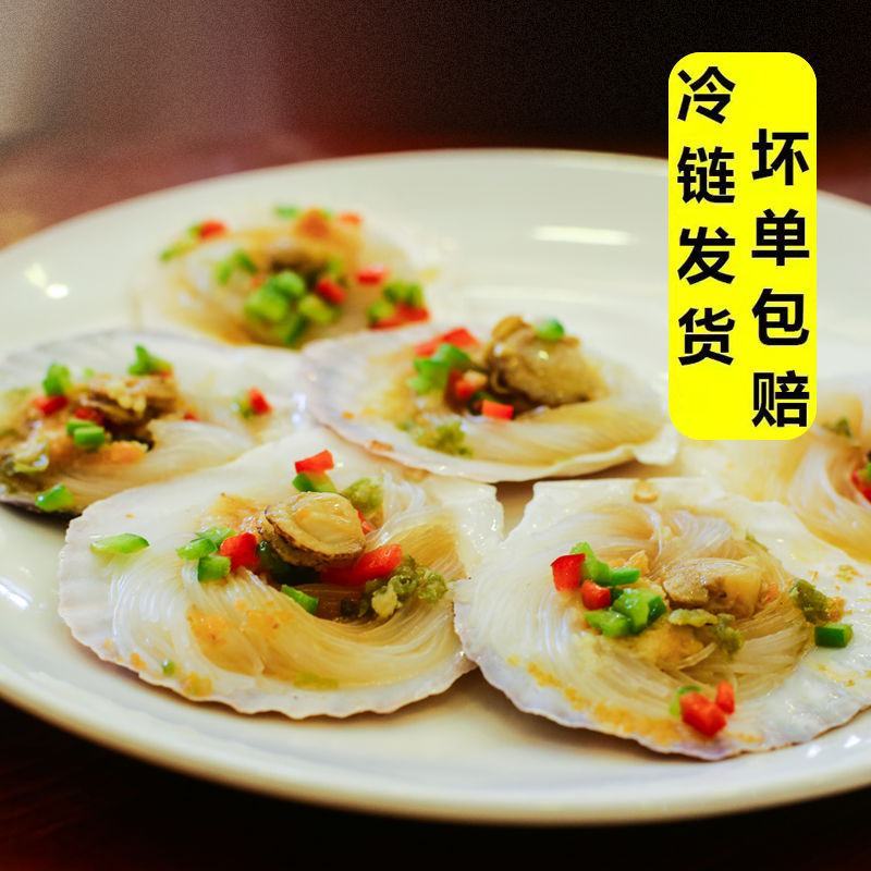 蒜蓉粉丝扇贝肉冷冻大号粉丝贝过节送礼品批发即食海鲜烧烤蒸