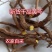 黄芩野生草药黄芩中药材打粉黄岑黄芹黄苓黄芩中药材食用无硫