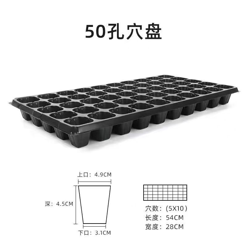 育苗盘穴盘秧盘西瓜种子加厚育苗盘超厚玉米高粱营养育苗杯