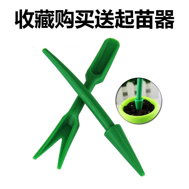 育苗盘穴盘秧盘西瓜种子加厚育苗盘超厚玉米高粱营养育苗杯