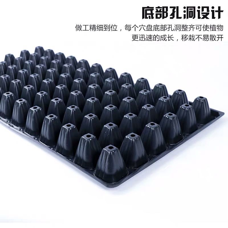 育苗盘穴盘秧盘西瓜种子加厚育苗盘超厚玉米高粱营养育苗杯