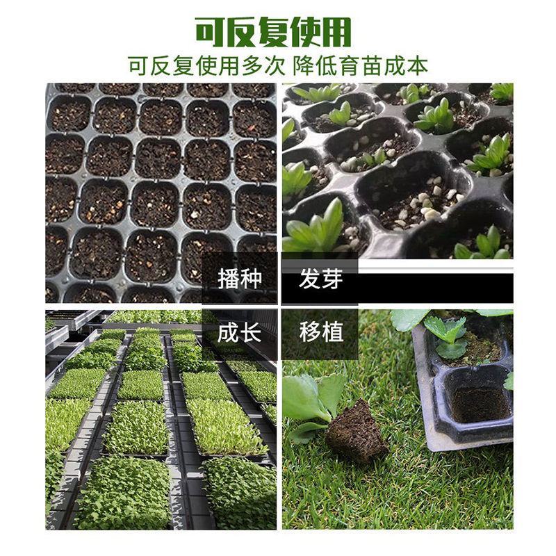 育苗盘穴盘秧盘西瓜种子加厚育苗盘超厚玉米高粱营养育苗杯