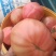 大元斗西红柿，大元宝西红柿，青岛市场，腰子型，畸形果多汁