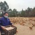 放养土鸡，