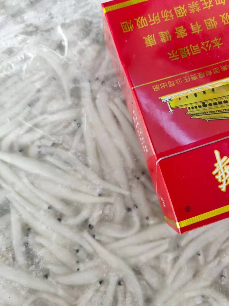 银鱼
