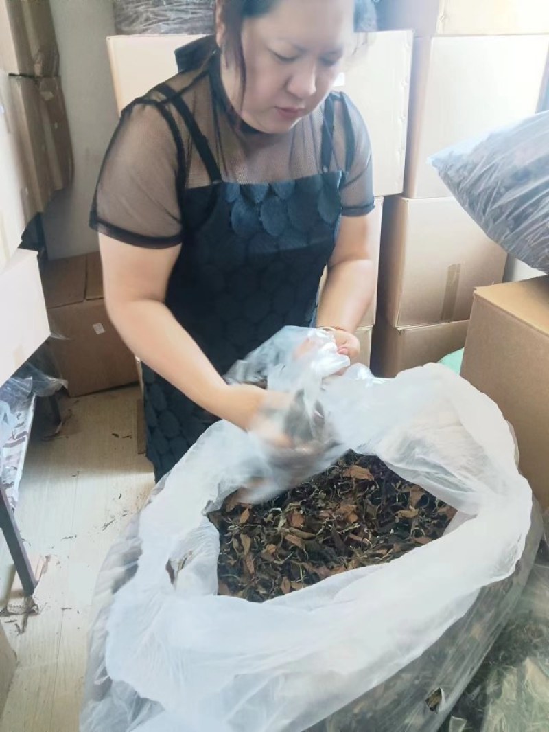 白茶