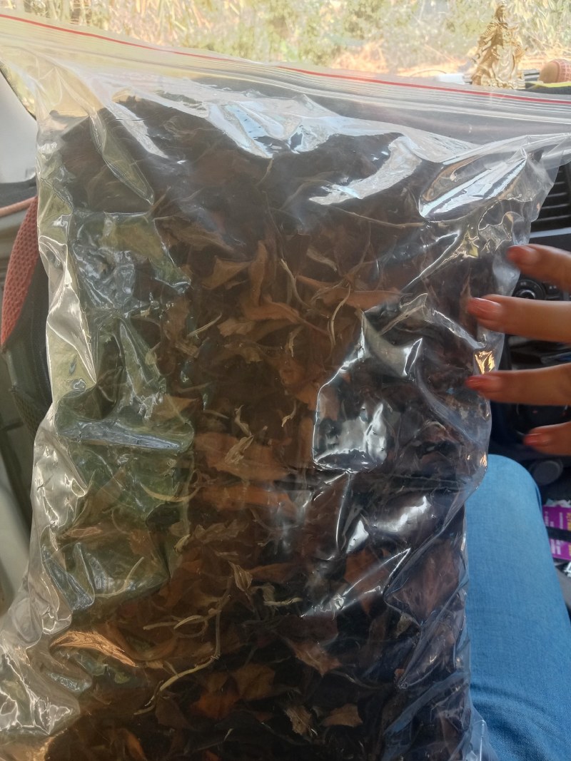 白茶